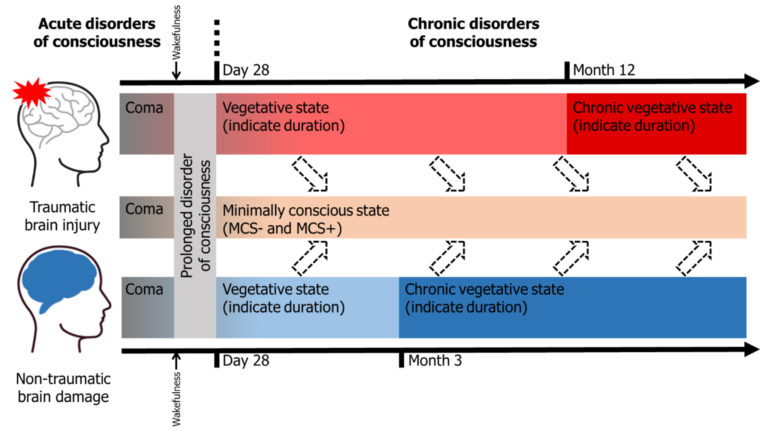 Prolonged Disorder of Consciousness — a New Concept in the Evaluation ...